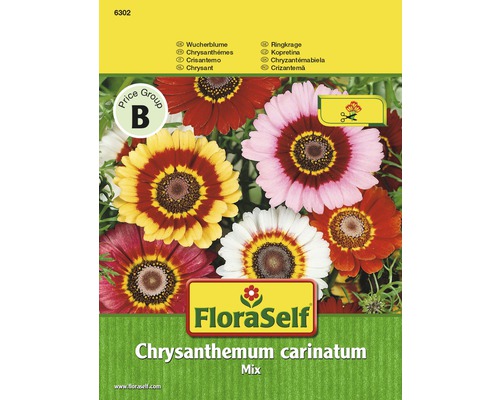 Blomfrö FLORASELF Chrysantheum Carinatum mix