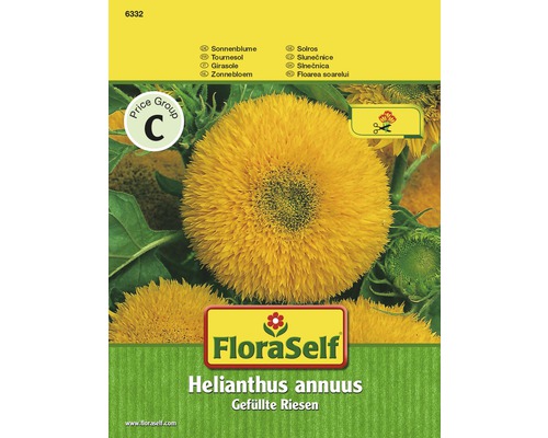 Blomfrö FLORASELF Solros Helianthus jätte