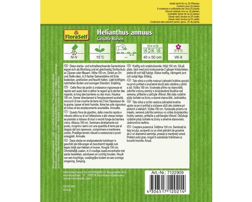 Förpackning blomfrön Helianthus annuus Gefüllte Riesen