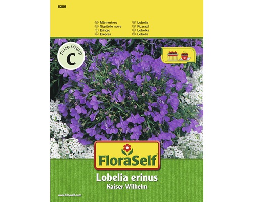 Blomfrö FLORASELF Lobelia Wilhelmina
