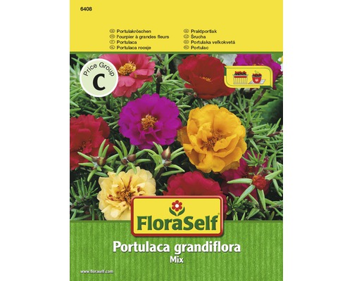 Blomfrö FLORASELF Portulaca mix Blomfrö FLORASELF Portulaca mix
