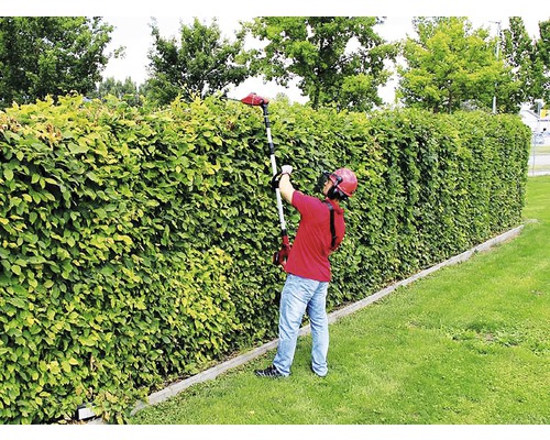 Man klipper häck med en häcksax.
