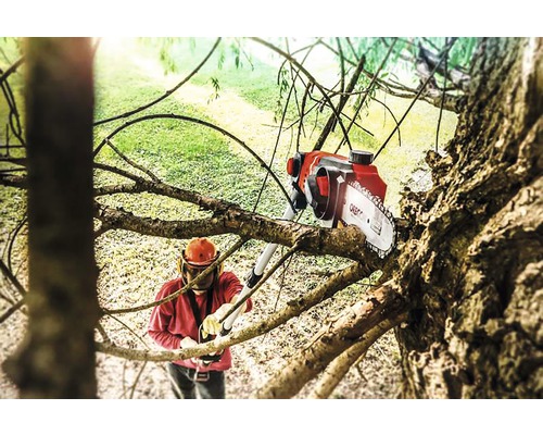 Person med hjälm och grensax som beskär träd