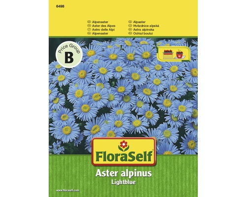 Blomfrö FLORASELF Alpaster Alpinus ljusblå