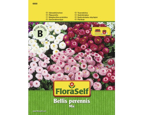Ängsblommor & blomfröer fleråriga - köp på HORNBACH.se