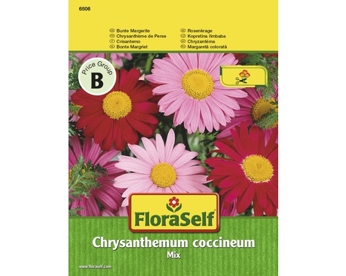 Blomfrö FLORASELF Rosenkrage Chrysanthemum brokig mix