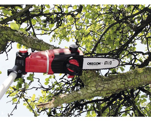 Grensåg som kapar en gren