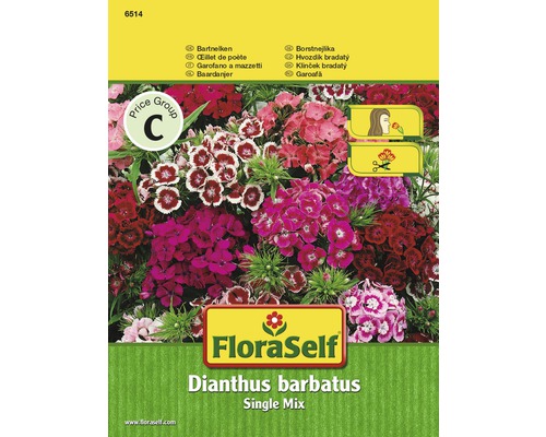 Ängsblommor & blomfröer fleråriga - köp på HORNBACH.se