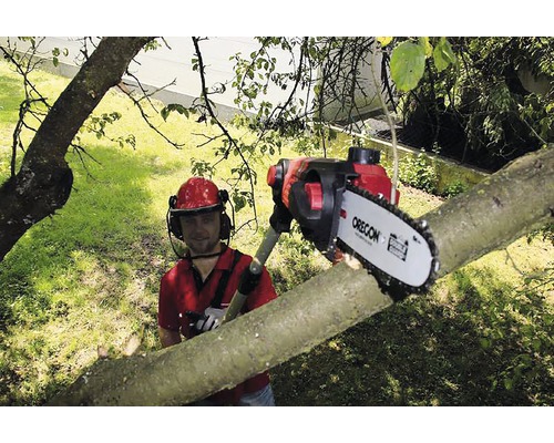 Man skär träd med en stångsåg