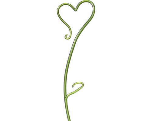 Orkidéstav SOENDGEN Hjärta 55cm grön