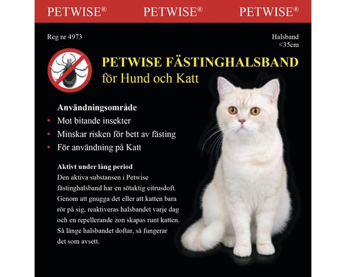 Fästinghalsband Petwise katt