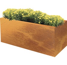 Rektangulär metallplanteringslåda med plantering