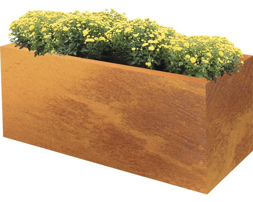 Rektangulär metallplanteringslåda med plantering