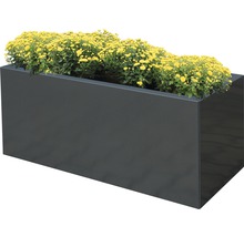 Rektangulär blomlåda med gula blommor