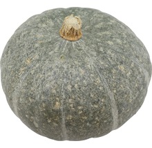 Pumpa med stjälk