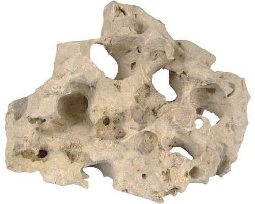 Hålsten för akvarier