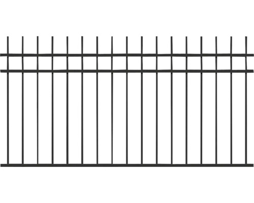 Smidesstaket ALBERTS Guardian 200x100cm svart Smidesstaket ALBERTS Guardian 200x100cm svart