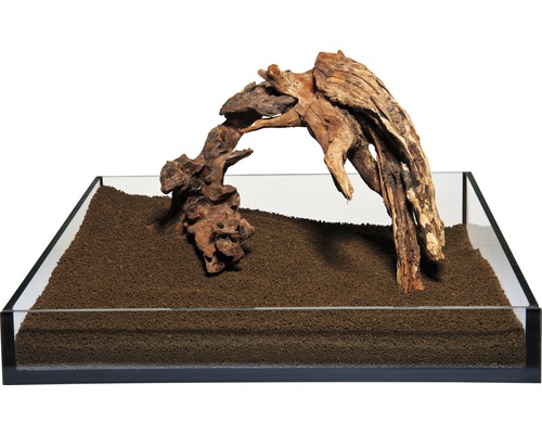 Dekorativt akvarium med trärot och bottenmaterial