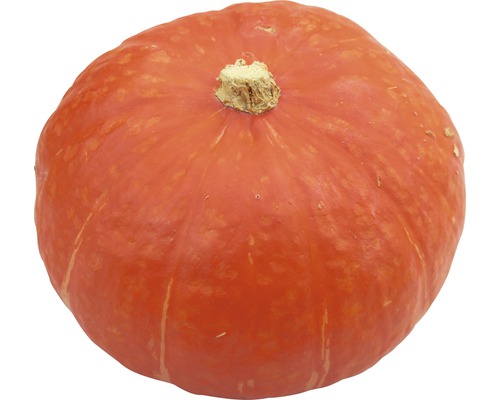 Hokkaidopumpa