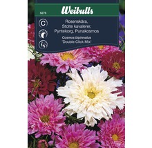 Blomfrö WEIBULLS Rosenskära doubel click