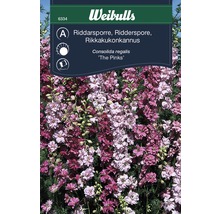 Förpackning med riddarsporre blomsterfrön ''The Pinks''