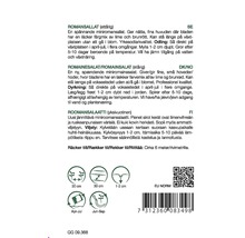 Information om plantering av miniromansallat