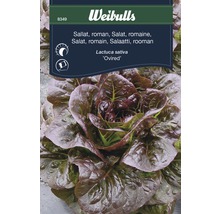 Weibulls sallad Ovired, ett huvud romansallad