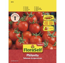 Tomatfrö FLORASELF tomat Philovita F1 motståndskraftiga-thumb-0