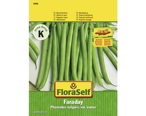 Bönfrö FLORASELF buskbönor Faraday Bönfrö FLORASELF buskbönor Faraday