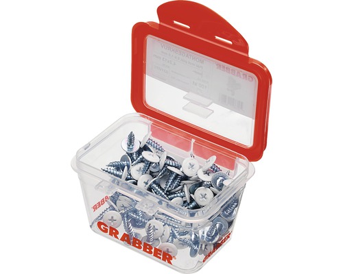 Grabber monteringsskruvar i transparent behållare med rött lock