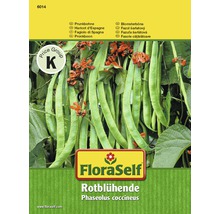Fröförpackning med FloraSelf blomsterböna med röda blommor