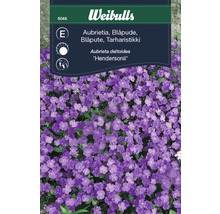 Förpackning Aubrieta deltoidea frön