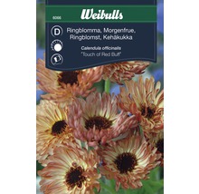 Fröförpackning ringblomma ''Touch of Red Buff''