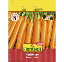 FloraSelf Narbonne fröpaket morötter