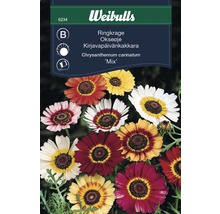 Blomfrö WEIBULLS Ringkrage mix