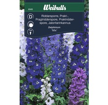 Weibulls Riddarsporre blomfröer förpackning