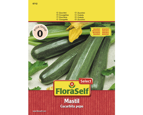 Zucchinifrö FLORASELF Zucchini Mastil F1 Zucchinifrö FLORASELF Zucchini Mastil F1