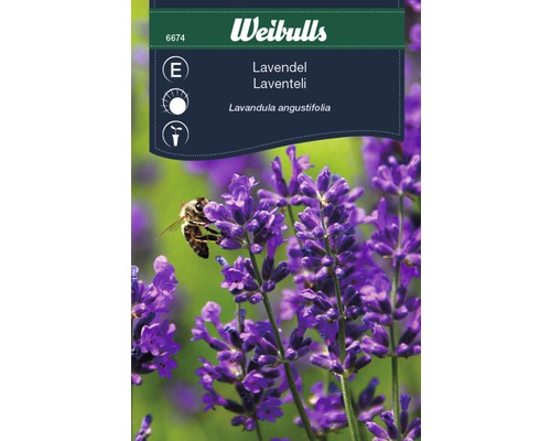 Blomfrö WEIBULLS Lavendel