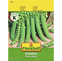 Sockerärt Grandera fröförpackning