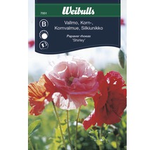 Blomfrö WEIBULLS Kornvallmo Shirley Mix