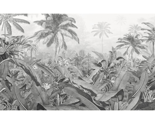 Fototapet KOMAR Pure Amazonia Black and White natur 4 delar 400x250cm P013-VD4 Tropisk skog som tapetmönster med palmer och stora blad