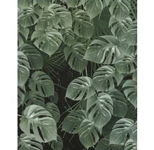 Storformatvisning av Monstera-blad som motiv