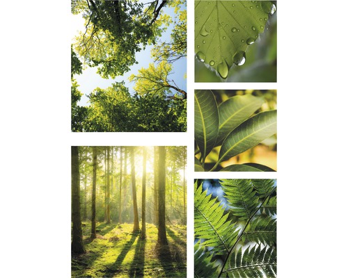 Canvastavla ART FOR THE HOME Pure Nature 5-delars Canvastavla ART FOR THE HOME Pure Nature 5-delars