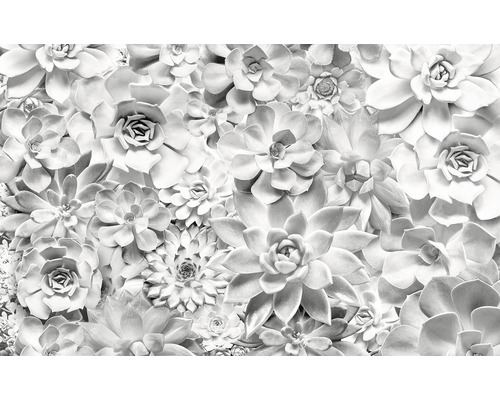 Fototapet KOMAR Pure Shades Black and White floral 4 delar 400x250cm P962-VD4