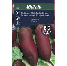 Weibulls Rödbetsfrön, avlång sort Forono i storpack