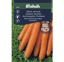 Weibulls fröpaket för sommar morötter