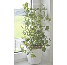 Blomsterstöd FLORASELF 34x77cm metall