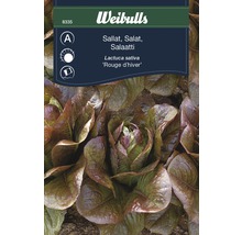Weibulls Sallad ''Rouge d''hiver'' fröpaket