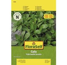 FloraSelf Gala vintersallat fröpaket
