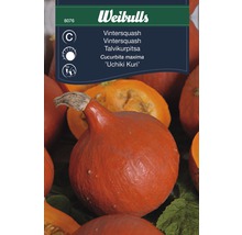 Pumpafrö WEIBULLS Pumpa Uchiki Kuri